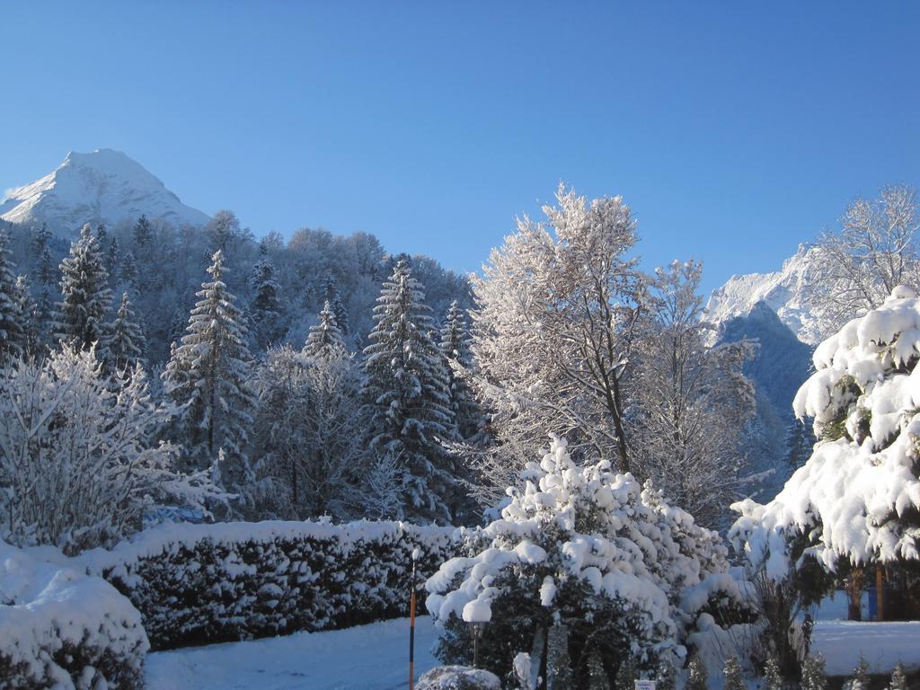 EngedeyHaus Alpengluehnアパートメント エクステリア 写真