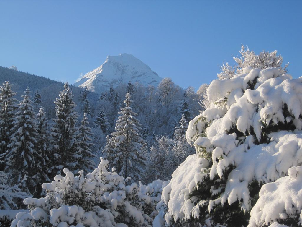 EngedeyHaus Alpengluehnアパートメント エクステリア 写真